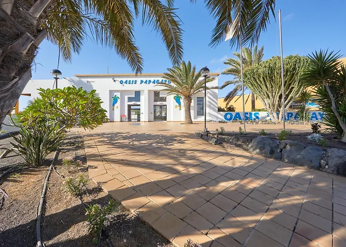 Samira Fuerteventura كوراليهو